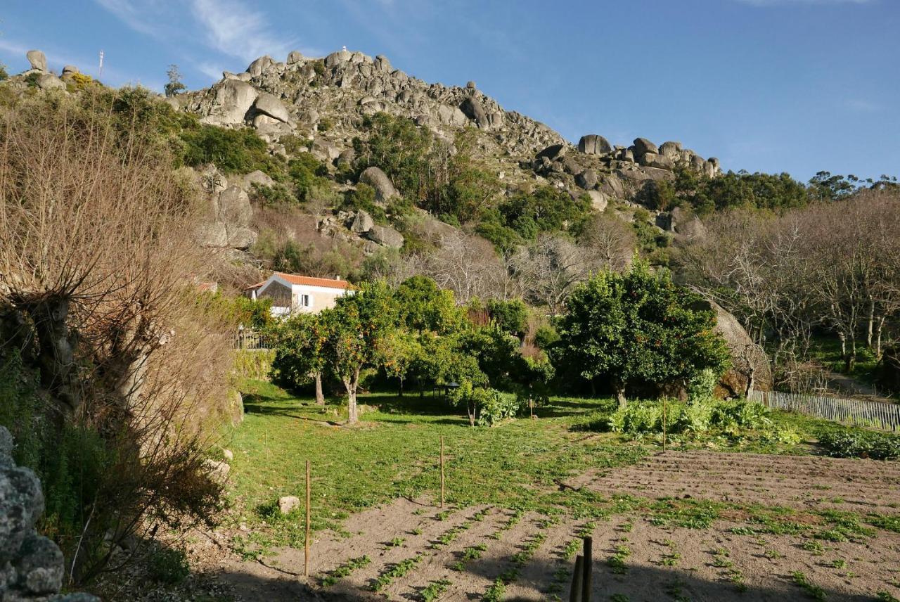 Bed and Breakfast Quinta De Sao Pedro De Vir-A-Corca Em Monsanto Exterior foto