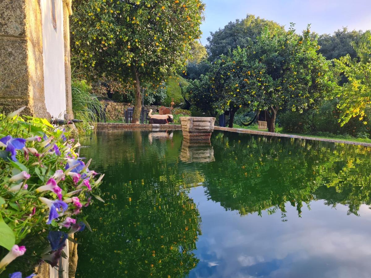 Bed and Breakfast Quinta De Sao Pedro De Vir-A-Corca Em Monsanto Exterior foto
