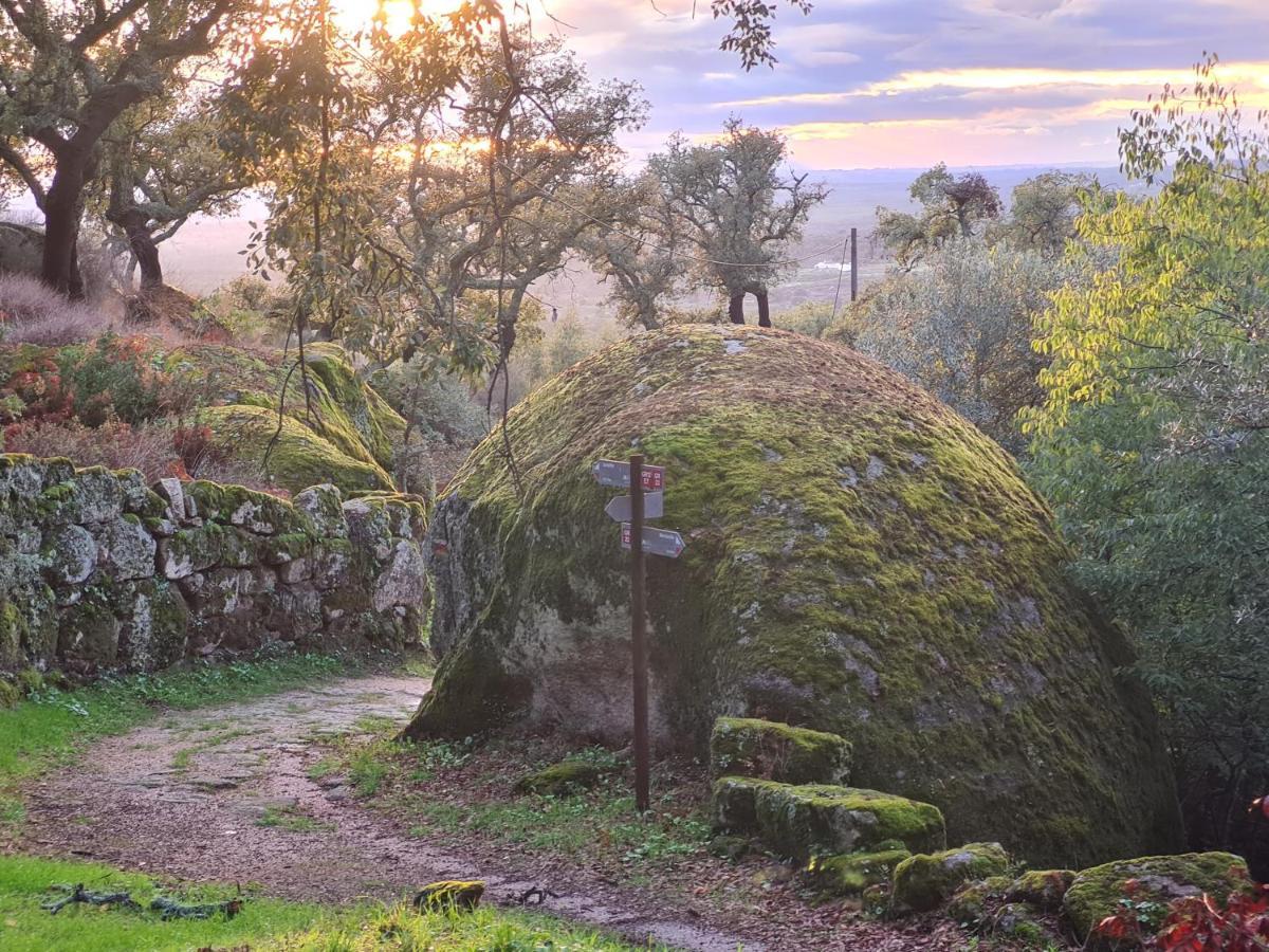 Bed and Breakfast Quinta De Sao Pedro De Vir-A-Corca Em Monsanto Exterior foto