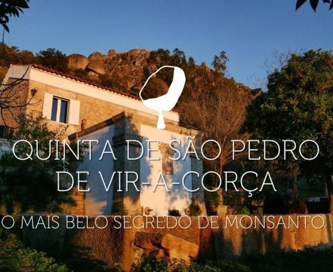 Bed and Breakfast Quinta De Sao Pedro De Vir-A-Corca Em Monsanto Exterior foto